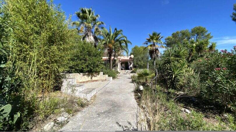 Gepflasterter Zugangsweg zur mediterranen Finca, gesäumt von Palmen, Bambus und Yucca unter blauem Himmel.