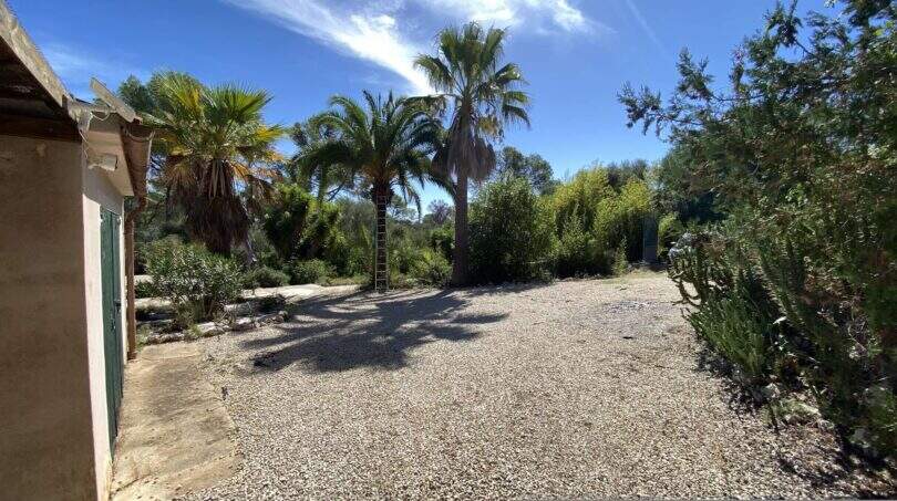 Kiesiger Gartenbereich der Finca in Algaida mit Palmen, mediterraner Bepflanzung und blauem Himmel.