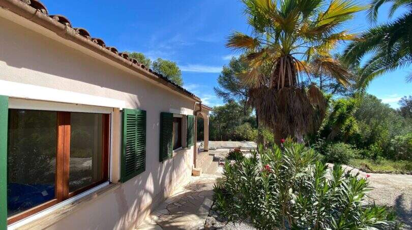 Außenansicht der mediterranen Finca in Algaida mit grünen Fensterläden, Palme und gepflegtem Garten.