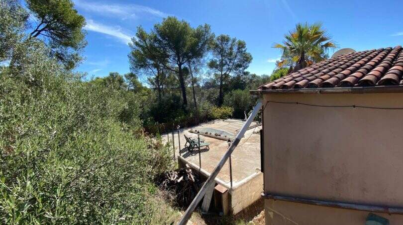 Blick vom Dach auf den Pool der mediterranen Finca, umgeben von Pinien und Olivenbäumen in Algaida.