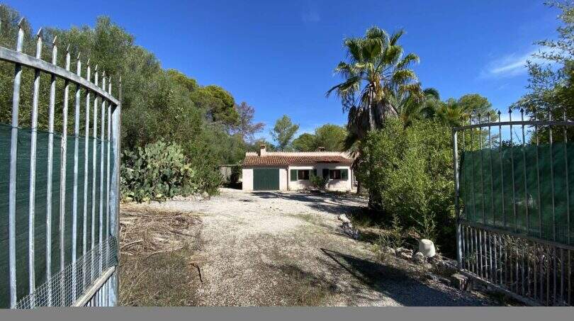 Einfahrt zur mediterranen Finca in Algaida mit Eisentor, Palme, Kakteen und rosa Landhaus mit grüner Garage.