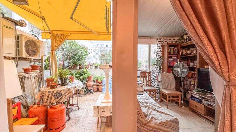 Überdachte Terrasse mit Pflanzen und Blick ins Wohnzimmer mit Bücherregal, Wohnung in Palma de Mallorca