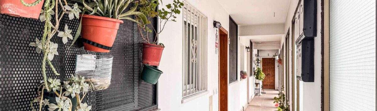 Langer Wohnungskorridor in Palma mit weißen Wänden, Holztüren und dekorativen Topfpflanzen an Metallgitter.