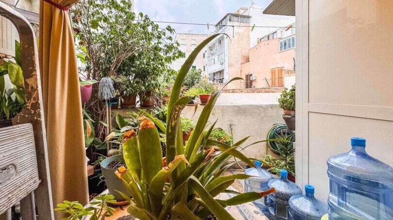 Begrünter Innenhof der strandnahen Wohnung in Palma mit üppigen Pflanzen und Blick auf umliegende Gebäude.
