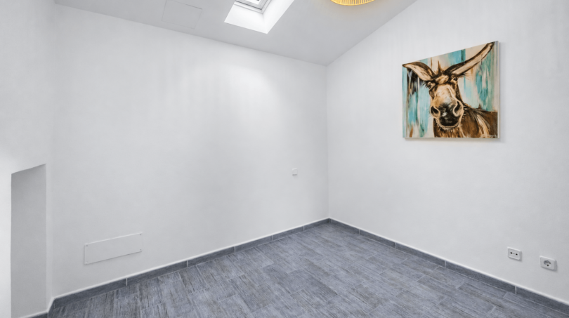 Helles, leeres Zimmer mit Dachfenster, grauem Vinylboden und Eselsgemälde an weißer Wand in Felanitx