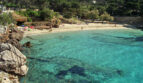Türkisfarbene Bucht mit klarem Wasser und Sandstrand in Cala Ratjada, Mallorca, umgeben von Pinien