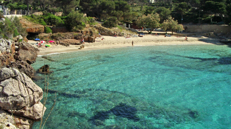 Türkisfarbene Bucht mit klarem Wasser und Sandstrand in Cala Ratjada, Mallorca, umgeben von Pinien