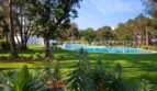 Jardín comunitario cuidado con piscina, palmeras y césped verde del ático en Bendinat