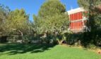 Jardín cuidado con césped verde y plantas mediterráneas frente a moderno ático en Bendinat