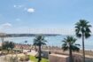 Meerblick-Wohnung in El Arenal: Panoramablick auf Strand, Palmen und türkisblaues Mittelmeer in Palma.