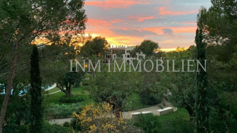 Garden area with Mediterranean vegetation and view of penthouse complex in Bendinat at sunset.