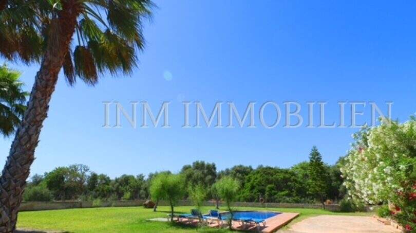 Spacious garden of the finca near Campos with pool, palms and lush vegetation under blue sky.
