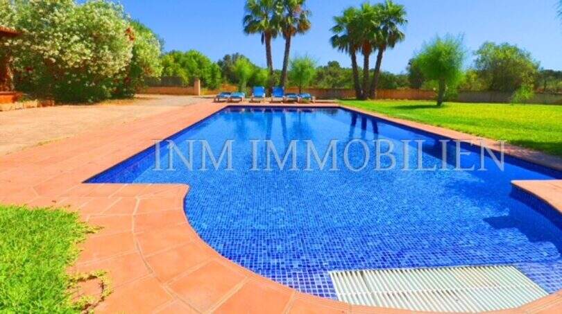 Large blue pool with terracotta tiles, loungers and palms of the finca near Campos