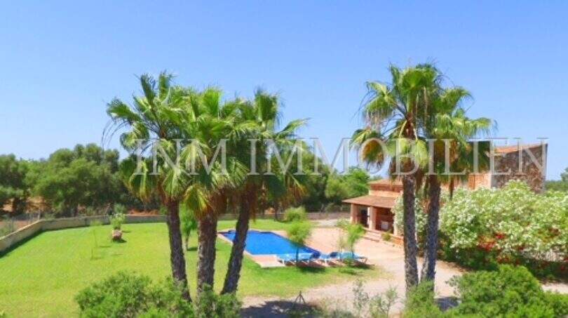 Spacious garden of the finca near Campos with pool, palms and green lawn under blue sky.