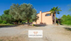Vista exterior de la finca Felanitx con olivo, palmera y mansión mediterránea bajo cielo azul.