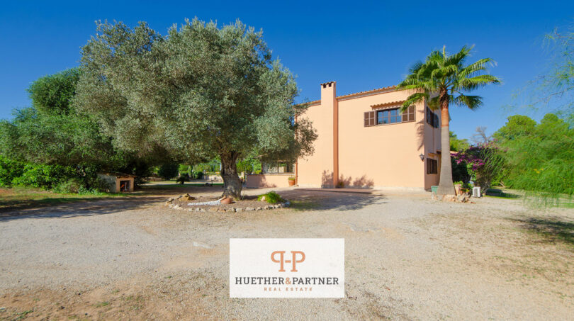 Vista exterior de la finca Felanitx con olivo, palmera y mansión mediterránea bajo cielo azul.