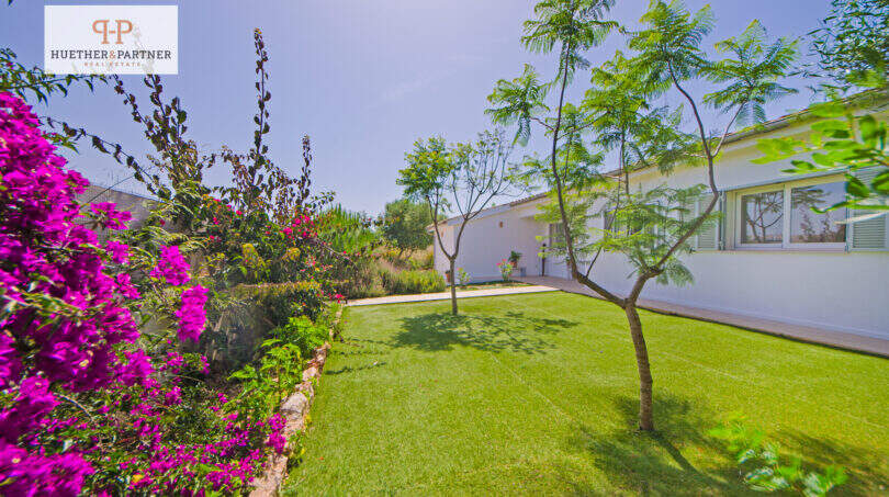 Gepflegter Garten mit grünem Rasen, Bougainvillea und Bäumen neben weißem Einfamilienhaus in Sa Ràpita.