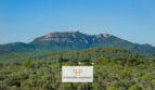 Blick auf den Puig de Sant Salvador von der Wohnung in Cales de Mallorca, umgeben von grüner Natur.