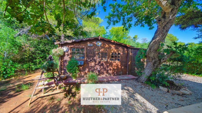 Casa de jardín de madera de la finca Felanitx, rodeada de árboles exuberantes y plantas verdes, con camino de grava y encanto rústico.