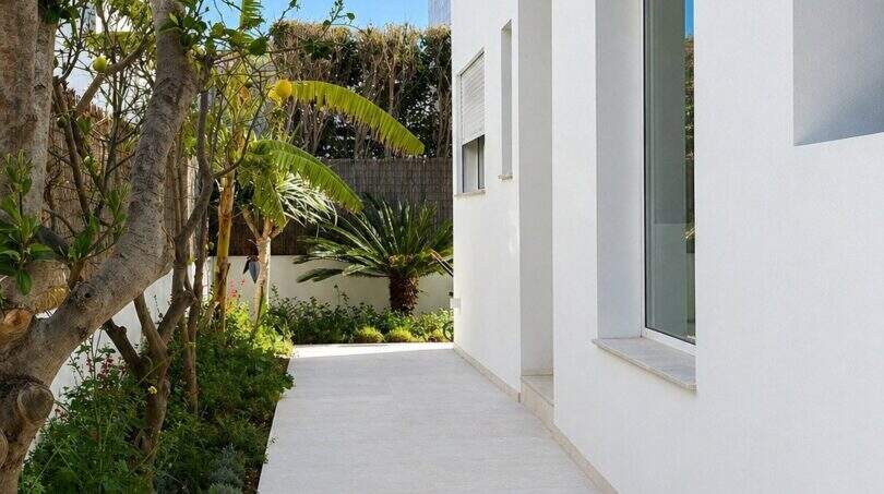 Schmaler Gartenweg entlang weißer Villenfassade mit mediterraner Bepflanzung, Palmen und Zitrusbaum in Portixol