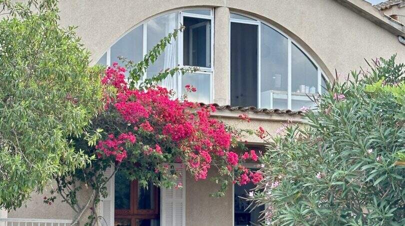 Außenansicht der Mallorca-Finca in Marratxí mit Bougainvillea, großem Rundbogenfenster und mediterranem Garten.