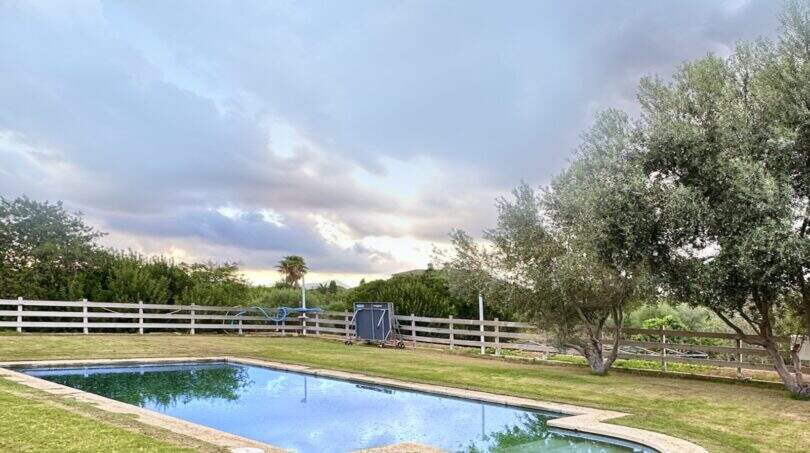 Großer Pool mit Steinrand, grüner Rasenfläche und Olivenbäumen auf Mallorca-Finca in Marratxí