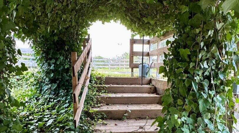 Begrünter Garteneingang mit Holztreppe und Rankpflanzen-Tunnel, Finca Marratxí Mallorca