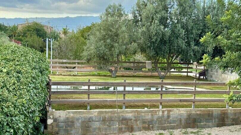 Gepflegter Gartenbereich der Mallorca-Finca mit Pool, Holzzaun, Olivenbäumen und Bergblick in Marratxí.