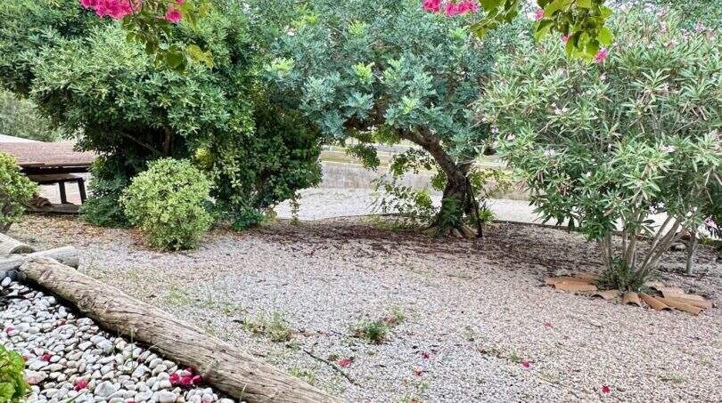 Mediterraner Garten der Mallorca-Finca mit Bougainvillea, Olivenbaum, Kiesfläche und dekorativer Tonkugel in Marratxí.