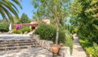 Gepflegter Gartenweg mit Natursteinmauer, Terrakottatopf, Palmen und pinker Bougainvillea vor der Finca.